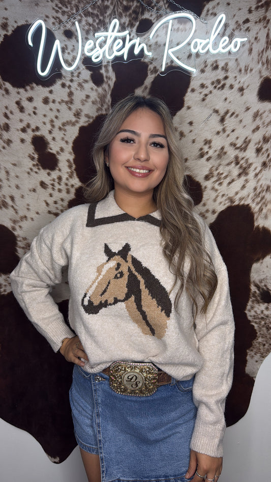 Horse sweater
