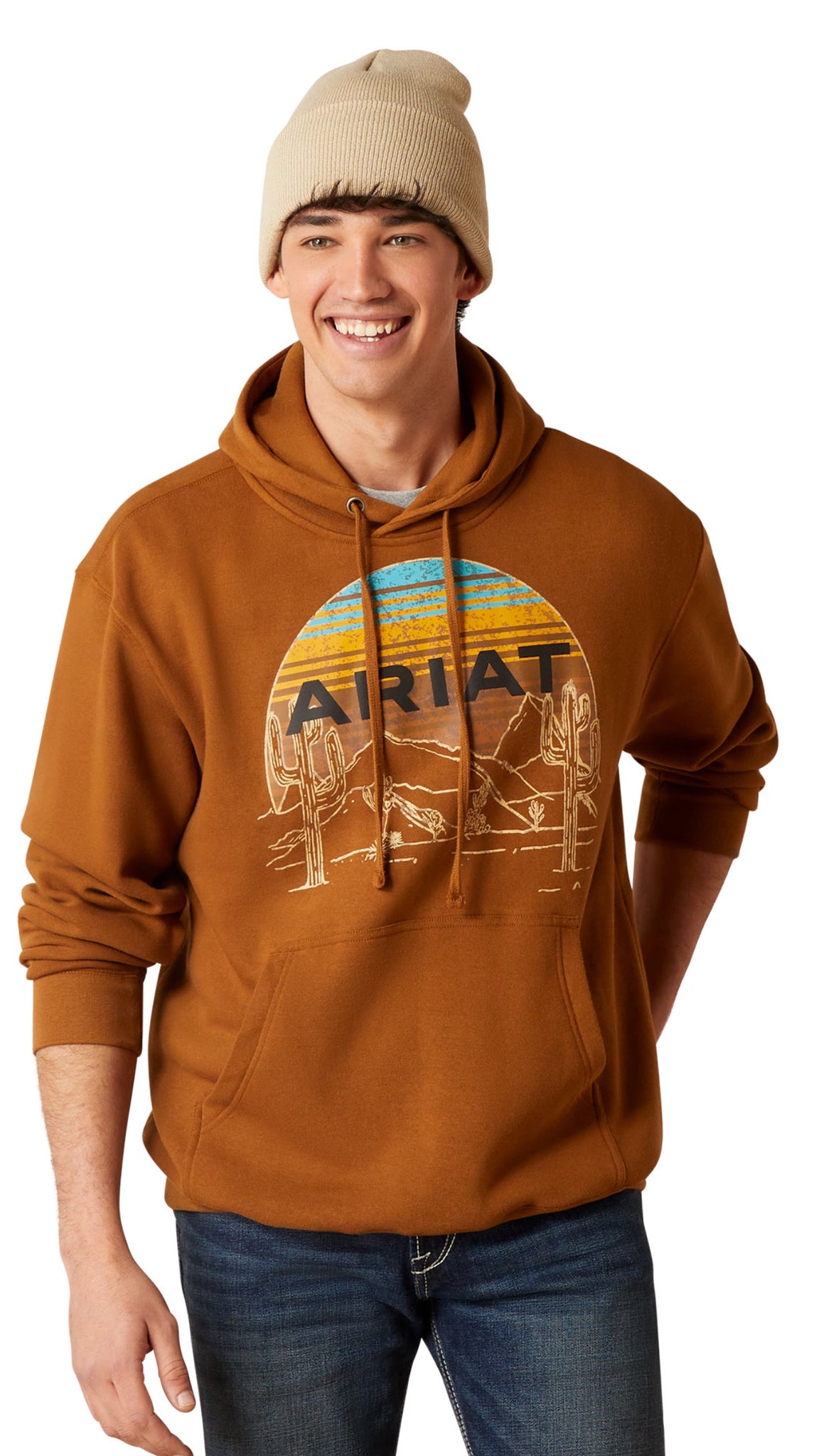 Ariat dessert hoodie